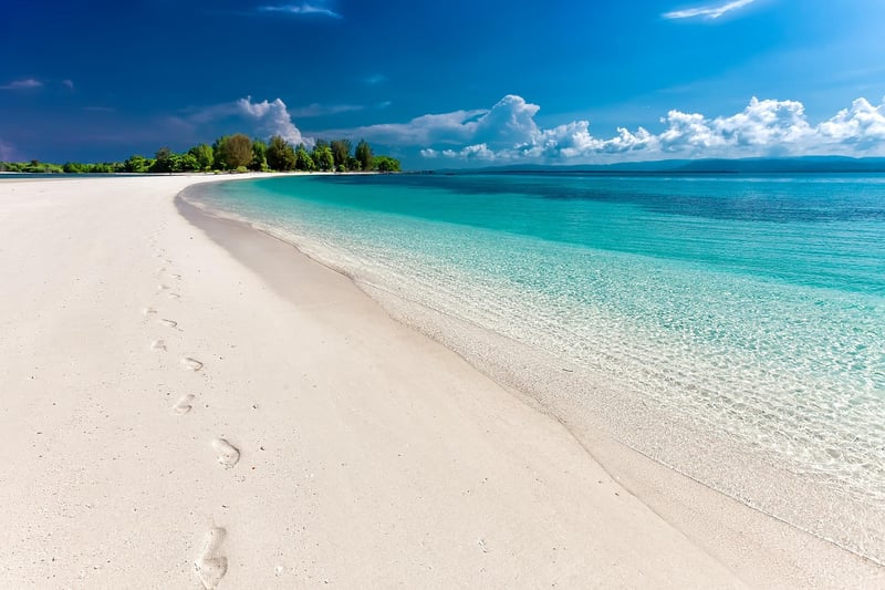Moonlit Beach